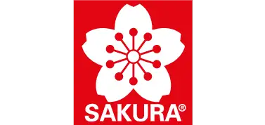 sakura-escola-joso-cursos-comic-ilustracion-animacion-concept-art-sagar